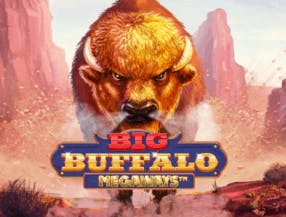 game logo by Skywind Group on spin-macho.net.pl