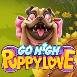game logo by RubyPlay on spin-macho.net.pl